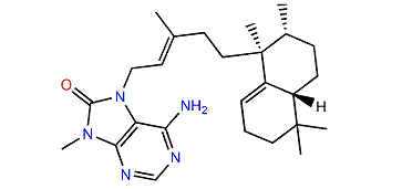 (+)-8'-oxo-Agelasine C